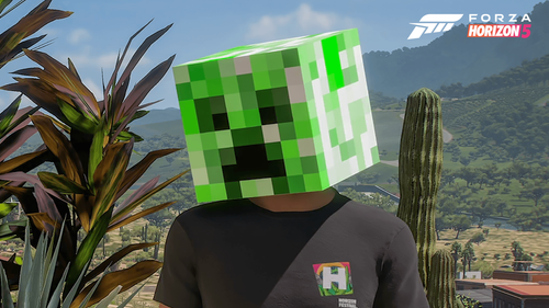 Male figure with a helmet that ressembles a Minecraft Creepr